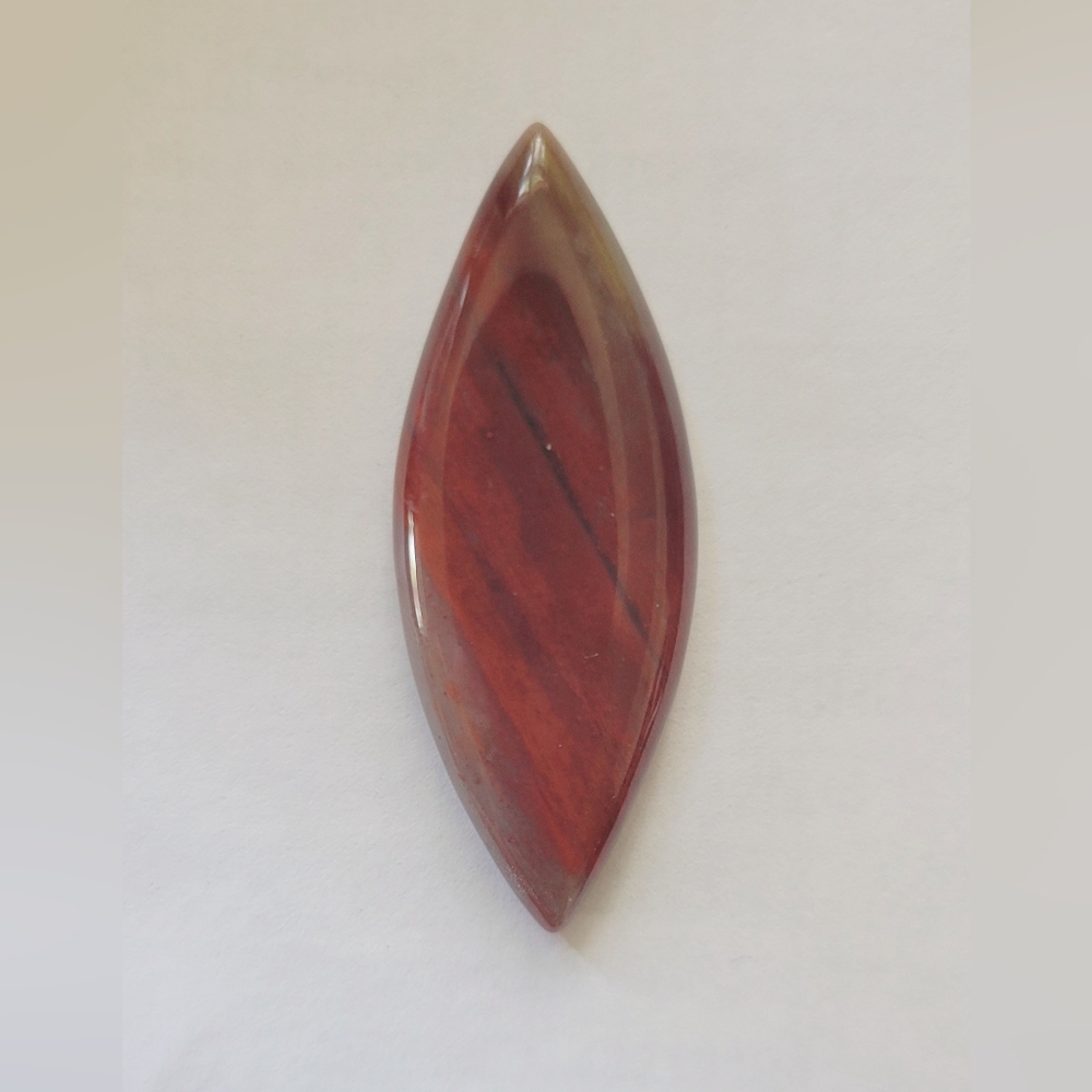 Petrified wood stone